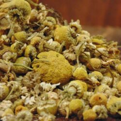 Chamomile Flower 2 oz